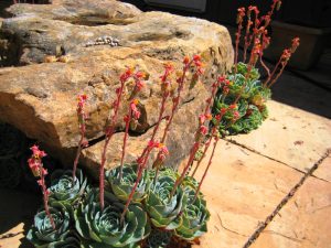 Sandstone Landscape